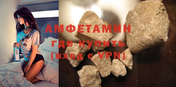 мдпв Дмитриев