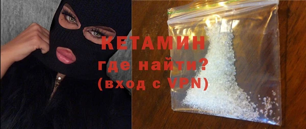 гидра Гусев