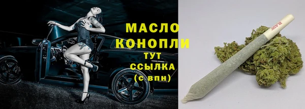 мдпв Дмитриев
