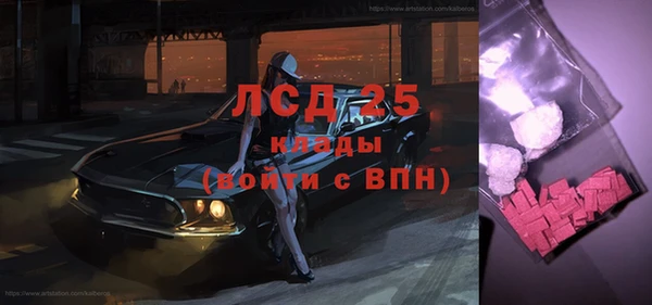 гидра Гусев