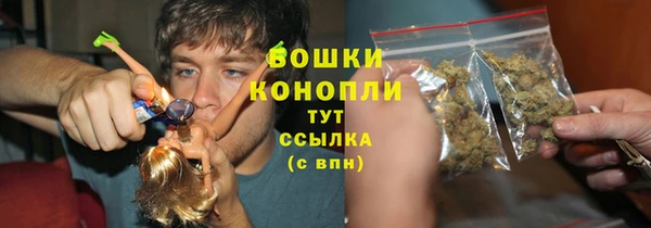 мдпв Дмитриев