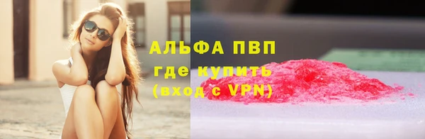 гидра Гусев