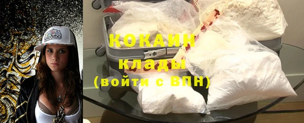 мдпв Дмитриев